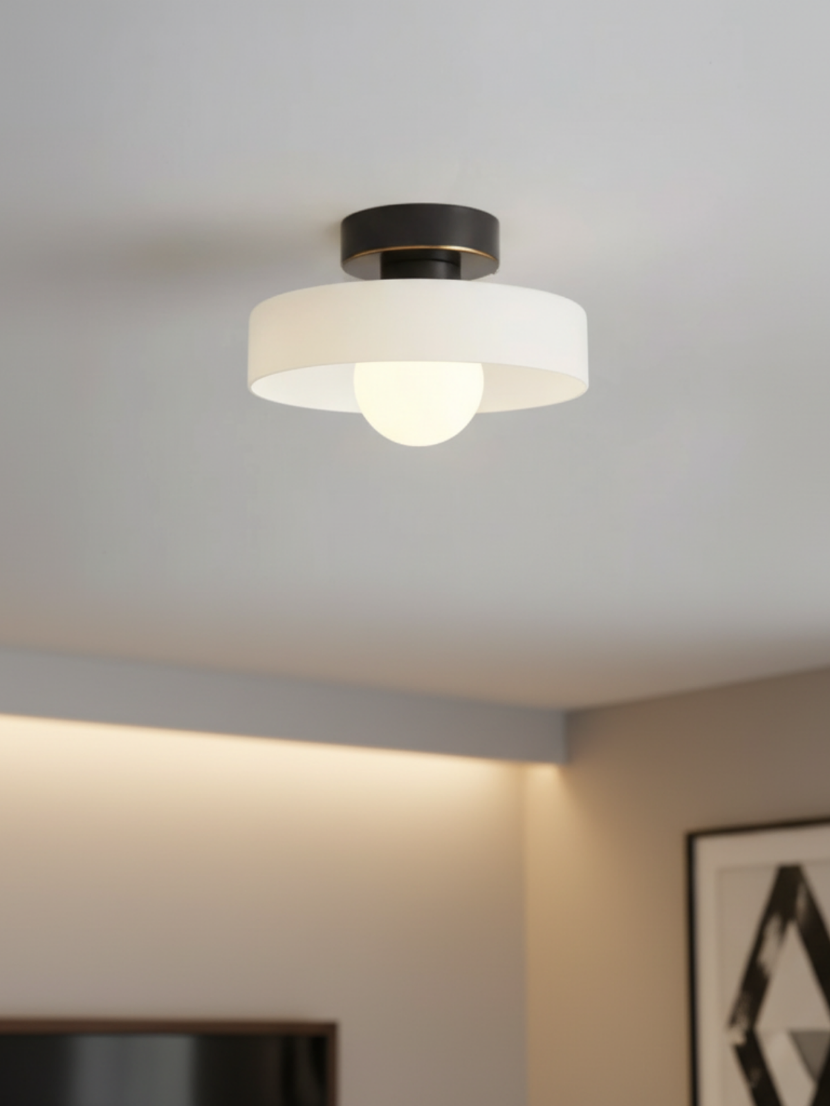 Bauhaus Mount Ceiling Light